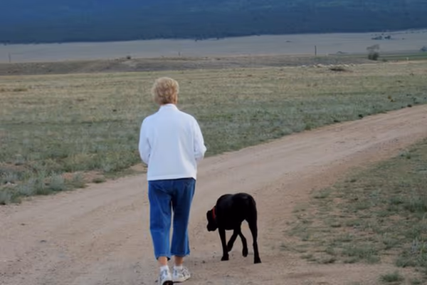 Run Free Dog Park